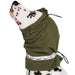 Dalmatian dog wearing olive green waterproof calming ear hood with drawstring ties, side view