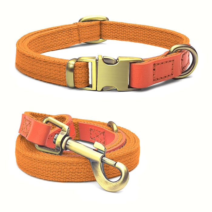 Orange dog collar and leash set with brass buckles and coral leather accents on white background