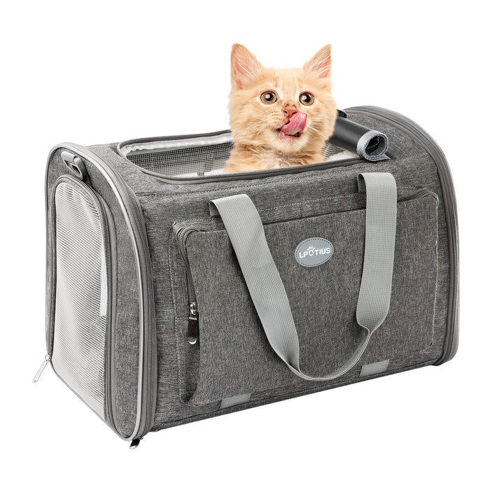 Orange kitten with pink tongue sticking out inside gray mesh pet travel carrier bag