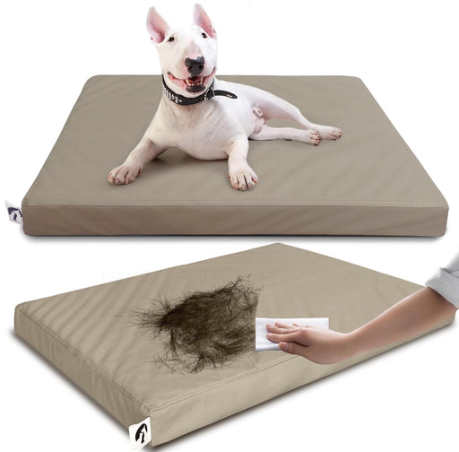 White bull terrier on beige orthopedic dog bed, bottom shows hair removal with cleaning wipe