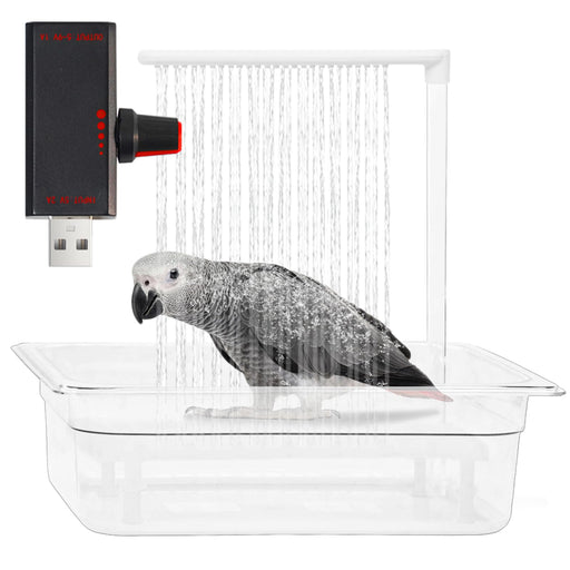 African Grey parrot enjoying shower in white USB-powered bird bathtub with water streaming down