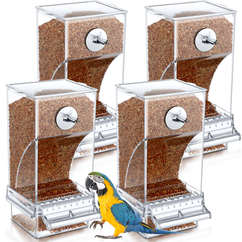 Four clear acrylic bird feeders filled with seeds and a blue and yellow macaw parrot