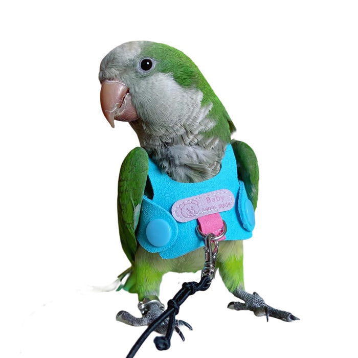 Green parrot wearing blue flight harness with pink buckle and black leash attachment