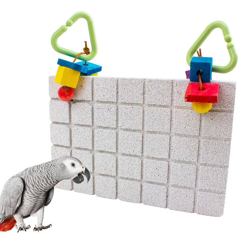 African Grey parrot next to colorful calcium stone bird toy mounted on textured wall block