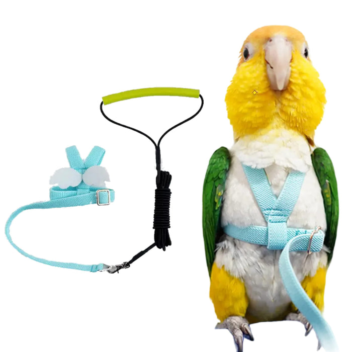 Yellow and green parrot wearing turquoise harness next to unassembled harness components