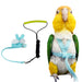 Yellow and green parrot wearing turquoise harness next to unassembled harness components