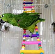Green parrot perched on colorful wooden bird ladder with rainbow beads inside white cage