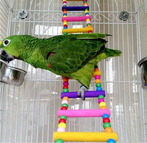 Green parrot perched on colorful wooden bird ladder with rainbow beads inside white cage
