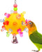 Green and yellow parrot playing with colorful acrylic ball foraging toy with multiple pacifiers