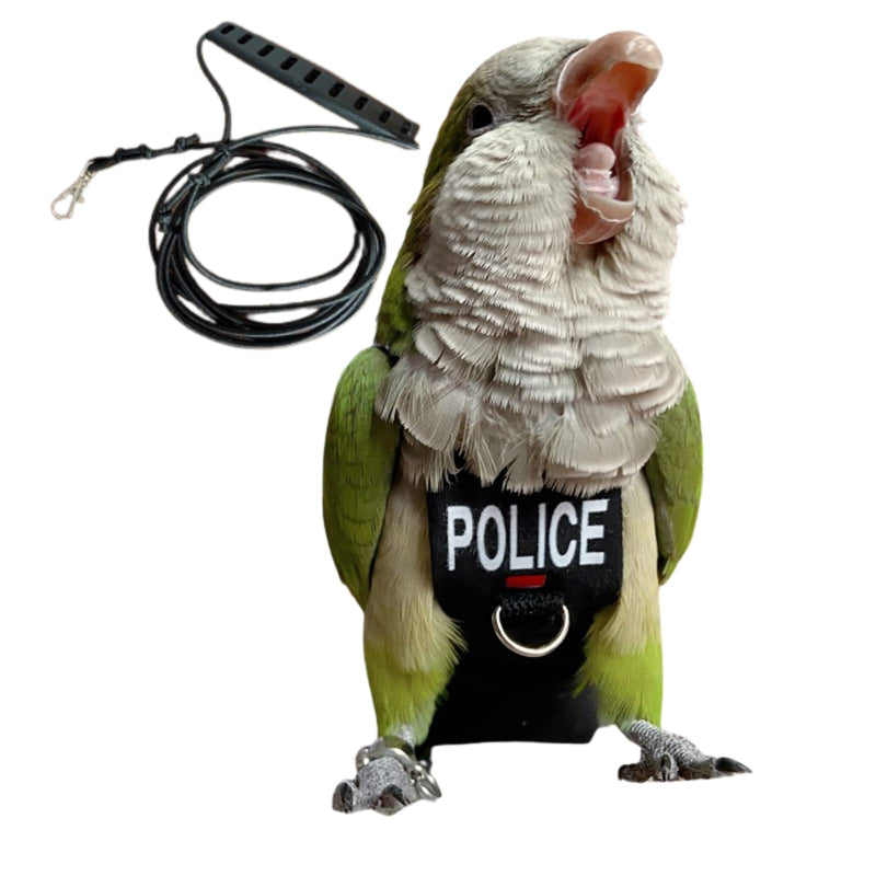 Green parrot wearing black police harness with leash attachment, mouth open in squawking pose