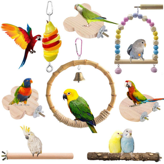 Colorful parrots and birds using various wooden perches, swings, and toys from bird cage kit