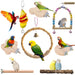 Colorful parrots and birds using various wooden perches, swings, and toys from bird cage kit