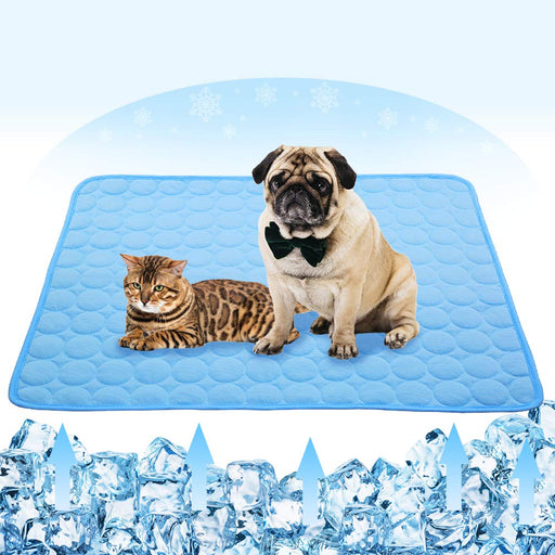 Pug dog and Bengal cat sitting on blue quilted cooling mat with ice cubes below