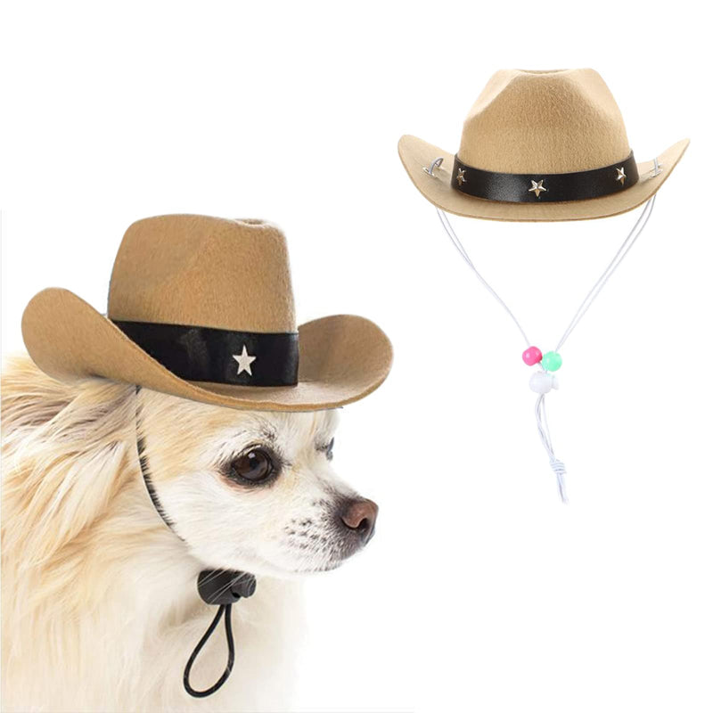 Chihuahua wearing tan felt cowboy hat with black star band and chin strap