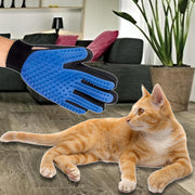 Hand wearing blue pet grooming glove with silicone tips approaching relaxed orange tabby cat