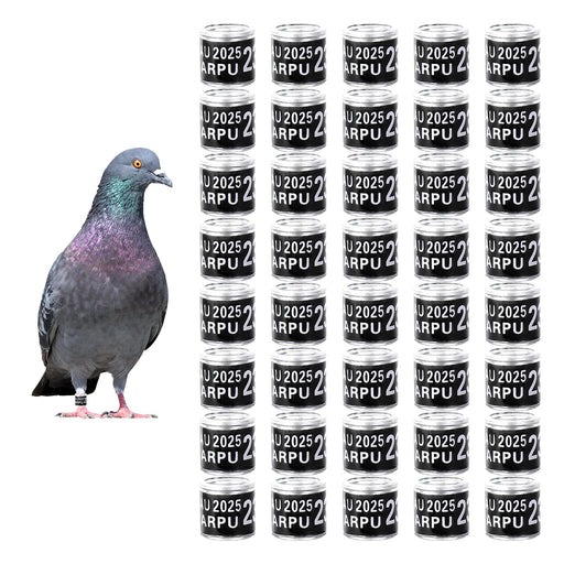 Pigeon with iridescent feathers next to grid of black aluminum leg bands labeled U 2025 ARPU 2