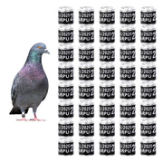 Pigeon with iridescent feathers beside grid of 40 aluminum leg bands labeled U 2025 ARPU 2