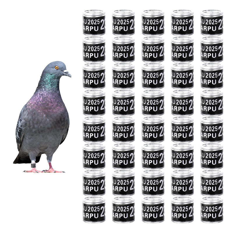 Pigeon with iridescent feathers beside grid of 40 aluminum leg bands labeled U 2025 ARPU 2