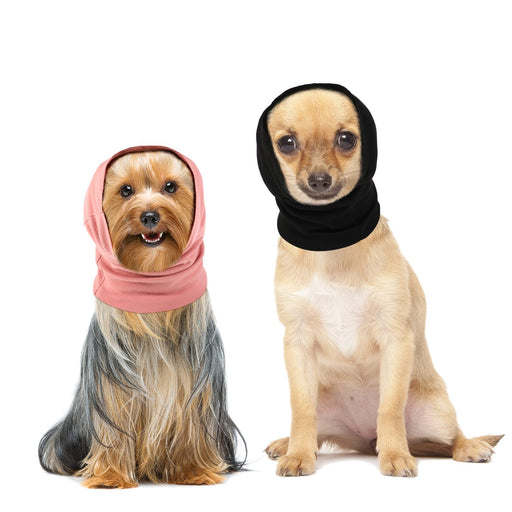 Yorkshire terrier in pink ear muff and Chihuahua in black ear muff sitting on white background