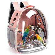 Pink transparent bird carrier backpack with two colorful parrots inside on perches