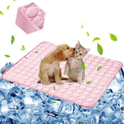Pink cooling pet mat with puppy and kitten sitting together, surrounded by ice cubes and leaves