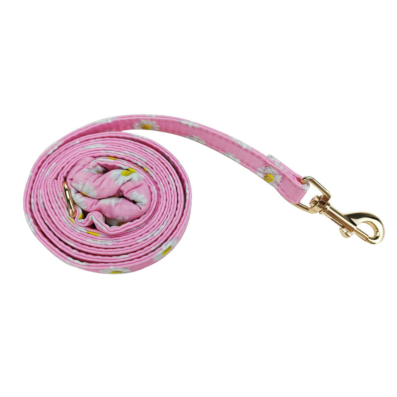 Pink daisy floral dog leash coiled with gold snap clasp on white background