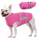 White French Bulldog wearing bright pink fleece vest with reflective strip and product view