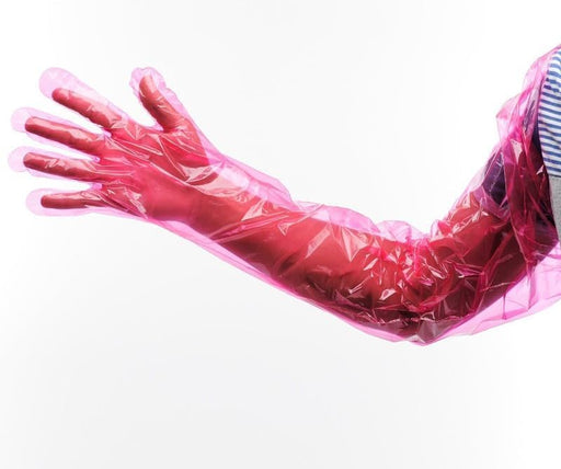 Pink disposable veterinary glove covering entire arm from hand to shoulder on white background