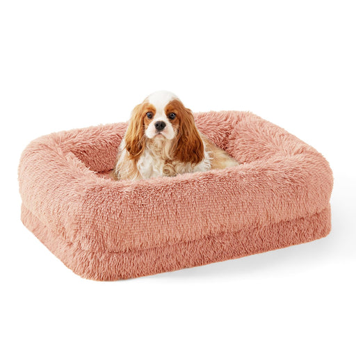 Small brown and white spaniel sitting in pink fluffy rectangular orthopedic dog bed
