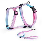 Colorful gradient dog harness and matching leash set in pink, purple and blue colors