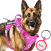 German Shepherd wearing pink service dog harness with matching ID tag keychain on white background