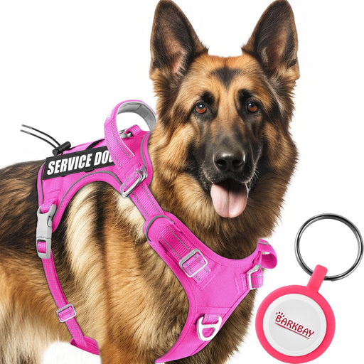 German Shepherd wearing bright pink service dog harness with matching ID tag keychain accessory