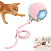 Pink interactive cat ball with LED light and cord, orange tabby cat reaching toward it