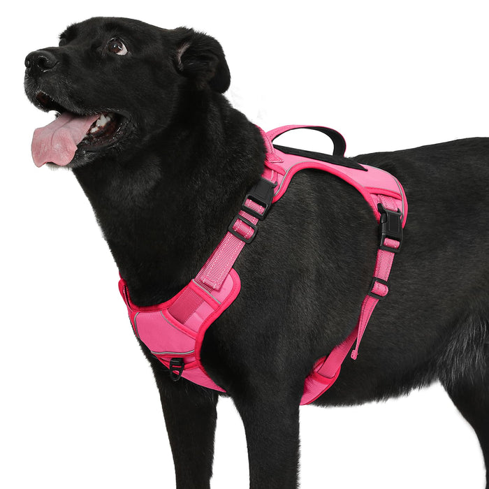Black dog wearing bright pink tactical harness with reflective straps, shown from side angle