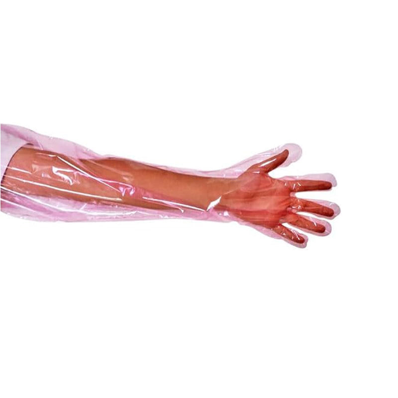 Pink translucent veterinary glove covering human arm and hand against white background