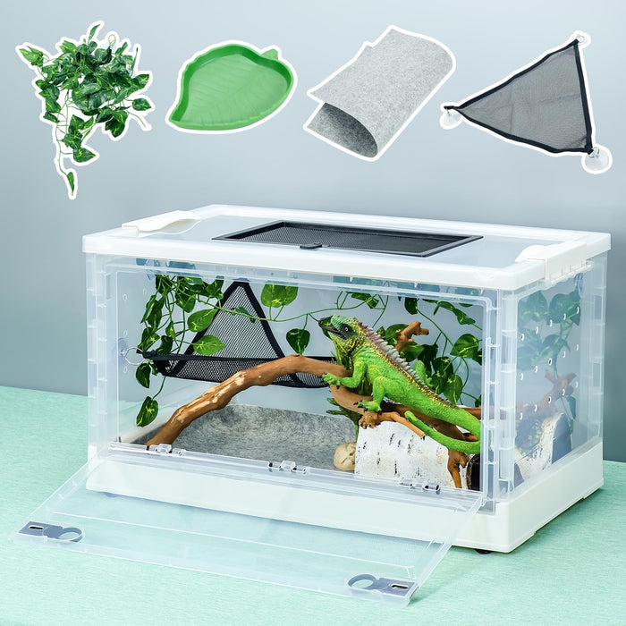 Clear plastic reptile terrarium with green iguana inside, showing accessories and setup components