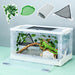 Clear plastic reptile terrarium with green iguana inside, showing accessories and setup components