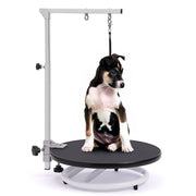 Black and white puppy sitting on professional rotating grooming table with metal arm overhead