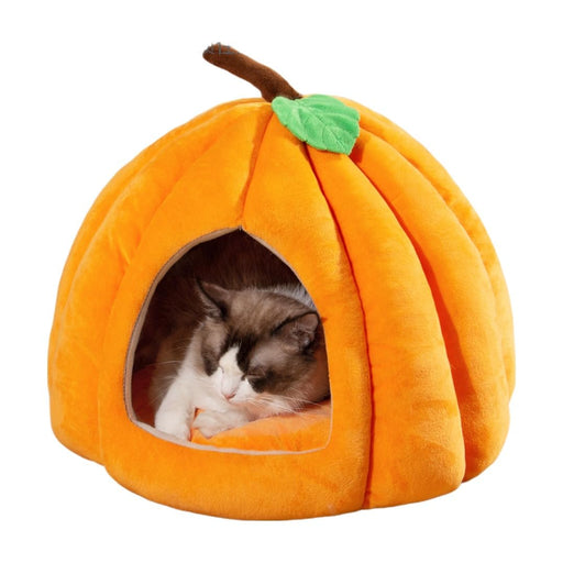 Gray and white kitten sleeping inside orange pumpkin-shaped cat bed with green leaf on top