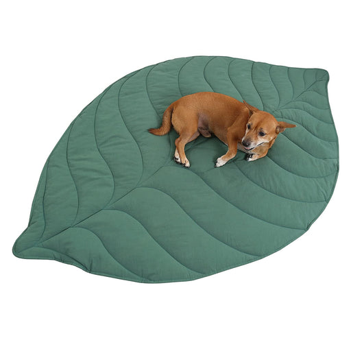 Small brown dog lying on large green leaf-shaped quilted blanket against white background