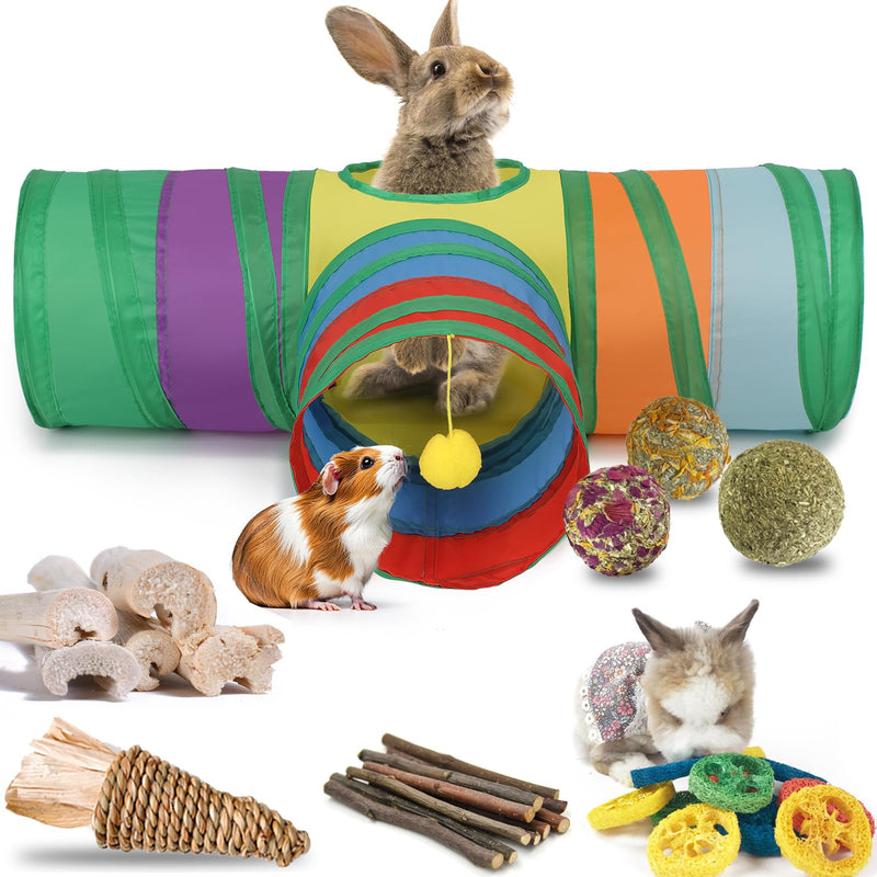 Colorful rabbit tunnel playset with guinea pig, bunny, and natural chew toys displayed