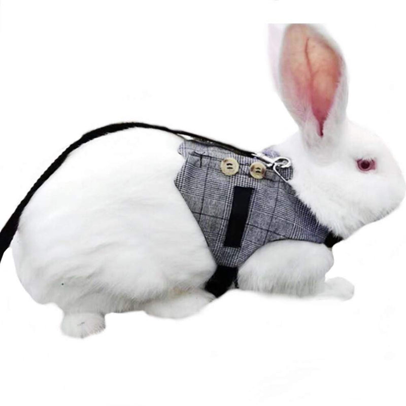 White rabbit wearing gray checkered vest harness with leash, shown from side angle