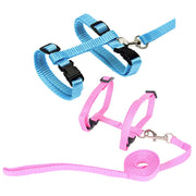Blue and pink rabbit harnesses with leashes showing adjustable buckles and metal hardware