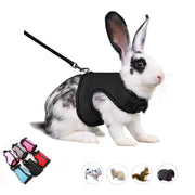 Black and white rabbit wearing black mesh harness with leash, showing color options below