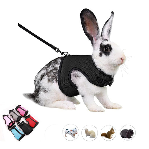 Black and white rabbit wearing black mesh harness with leash, showing color options below