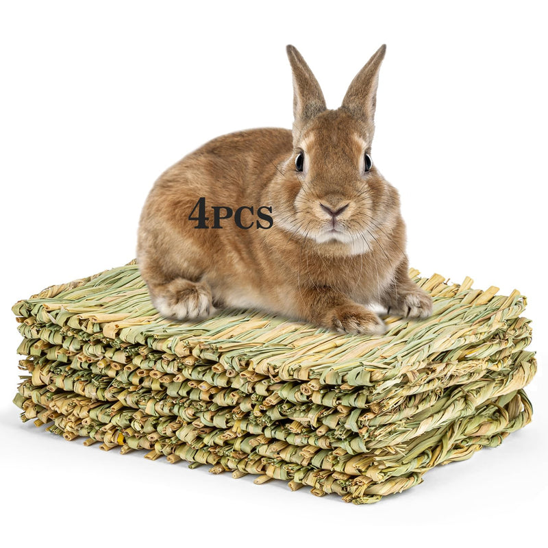 Brown rabbit sitting on stack of 4 natural woven grass mats against white background