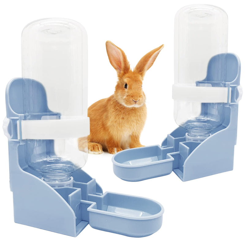 Orange rabbit sitting on blue plastic water bottle feeder system with clear bottles and bowls