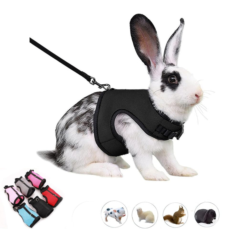 Black and white rabbit wearing black mesh harness with leash, small pet vest demonstration