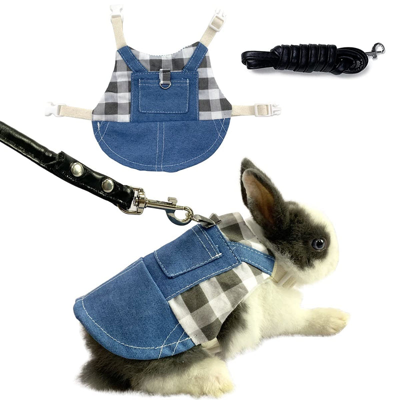 Small rabbit wearing blue denim overalls harness with plaid shirt and attached black leash