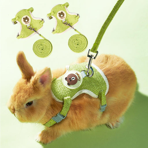 Orange rabbit wearing green mesh harness with cute bear logo and matching leash outdoors